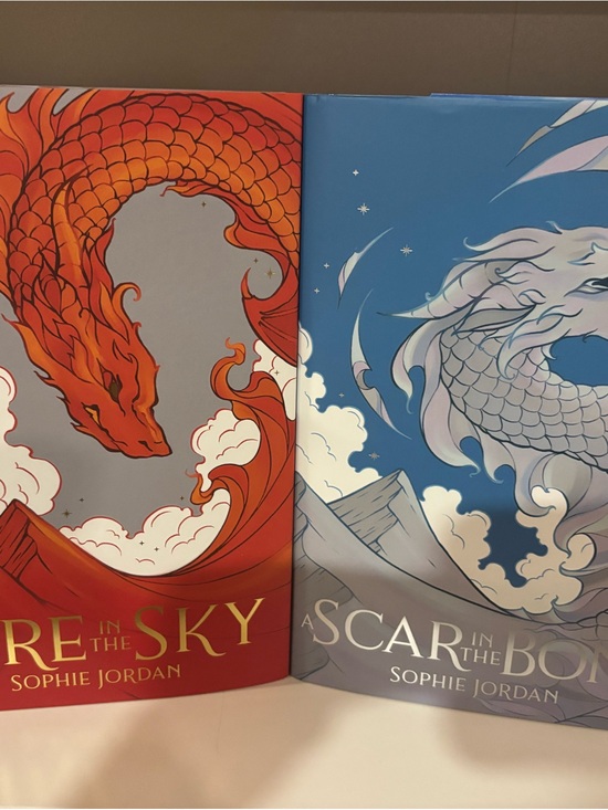 Other - Fire in the Sky & A Scar in the Bone - Sophie Jordan Duo Fairyloot
